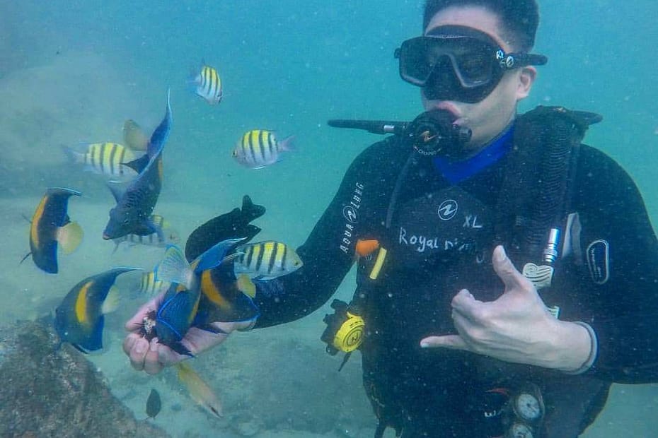 scuba diving sea riders